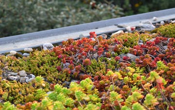 the cost of Higher Nyland green roof installation