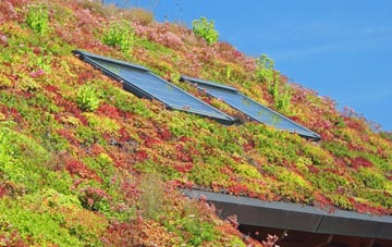 Higher Nyland living roof systems