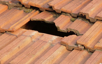 roof repair Higher Nyland, Dorset
