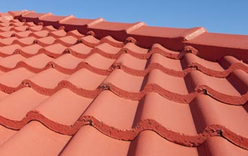 Higher Nyland tile and slate roof replacement