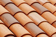 Higher Nyland clay roofing