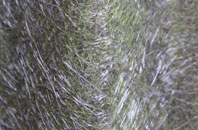 Higher Nyland fibreglass roof work