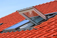 Higher Nyland roof window